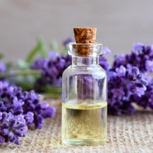 Tinh dầu oải hương nguyên chất